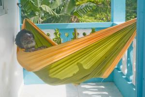 Ein Mann, der in einer Hängematte auf einer Veranda sitzt in der Unterkunft Robin Hood Guest House in Port Antonio