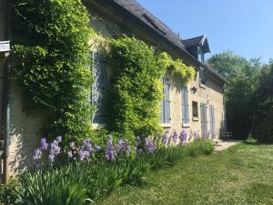 Vonkajšia záhrada v ubytovaní Maison cosy dans village historique