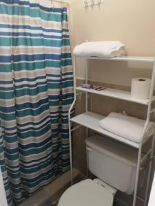 a bathroom with a toilet and a shower curtain at Hostal Lima Verde in La Lima