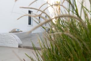 a bird sitting on the ledge of a building at Sandaya Luxury Suites in Naousa