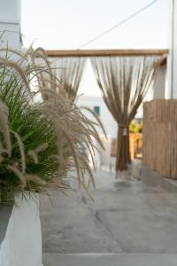 a hallway with two palm trees in a building at Sandaya Luxury Suites in Naousa