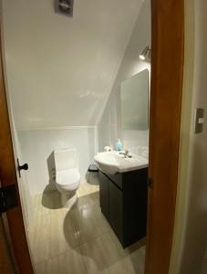a bathroom with a white toilet and a sink at Hotel Casona Los Colonos in Valdivia