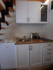 Kuchyň nebo kuchyňský kout v ubytování Apartmani kod Pančevca