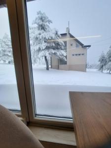 Apartmani kod Pančevca v zimě