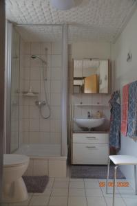 a bathroom with a shower and a sink and a toilet at Ohm in Holtsee