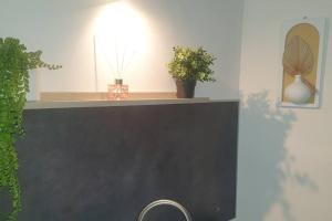 un estante con macetas y una luz en él en COSY CLIM CENTRE VILLE, en Montélimar