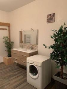 a washing machine in a bathroom with a sink at Appartement 2 à 3 personnes in Pionsat