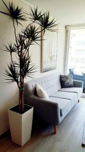 uma sala de estar com um sofá e um vaso de plantas em Departamento AltoMar El Tabo Isla Negra em El Tabo