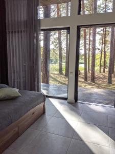 Gauja的住宿－GaujaUpe，一间卧室设有一张床和一个大型滑动玻璃门