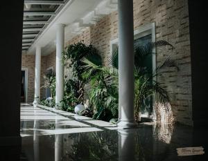 un edificio con columnas blancas y plantas en él en Hotel Millenium en Żyraków