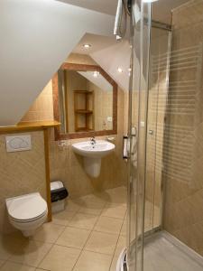 W łazience znajduje się prysznic, toaleta i umywalka. w obiekcie Willa Góralskie Spanie w Zakopanem