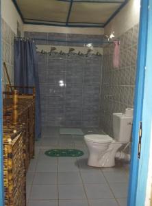a bathroom with a toilet and a shower at VILLA 3 DAUPHINS A 80 M DE LA PLAGE in Mahajanga