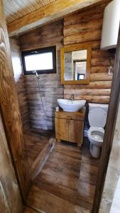 een kleine badkamer met een wastafel en een toilet bij Cabana Himalaya Lodge cu ciubăr din inima munților Apuseni- masivul Buces -Vulcan 
