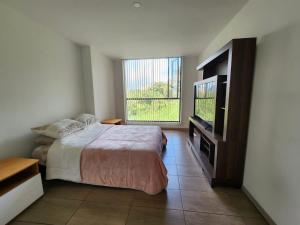 Schlafzimmer mit einem Bett und einem Flachbild-TV in der Unterkunft Apartamento Amoblado en Manizales in Manizales