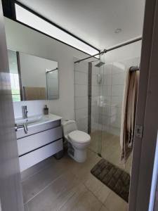 馬尼薩萊斯的住宿－Apartamento Amoblado en Manizales，浴室配有卫生间、盥洗盆和淋浴。