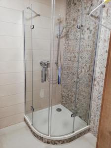y baño con ducha y puerta de cristal. en Apartmány Horní Bečva, en Horní Bečva