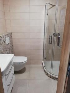 Kúpeľňa v ubytovaní Apartmány Horní Bečva