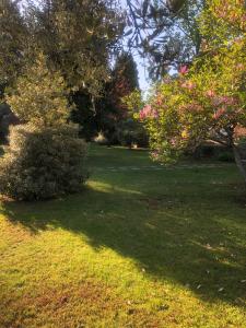Zahrada ubytování B&B Casa Doria