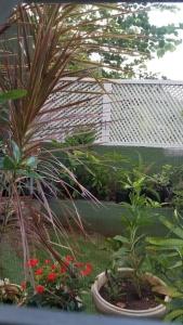 Giardino di Ridgeview suite 4