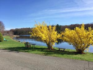 a park with two benches and a lake with yellow trees at Lake Moc A Tek Inn in Lakeville