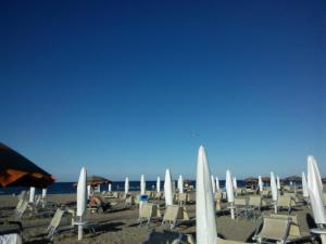 里米尼的住宿－Alevon Hotel，海滩上的一组椅子和遮阳伞