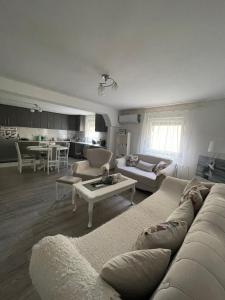 a living room with a couch and a table at Antic Apartment in Požarevac