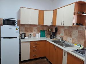 Kuchyň nebo kuchyňský kout v ubytování Casa Alex
