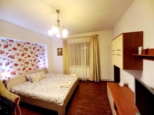 een kleine slaapkamer met een bed in een kamer bij Casa Alex in Văliug