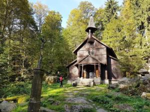 Zahrada ubytování Apartment, 2 bedrooms, kitchen+2 bathrooms