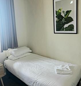 1 cama en una habitación con una foto en la pared en Family Hotel, en Bathurst