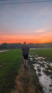 a man walking through a field at sunset at Crossroads Hostel 1957 in Wayanad