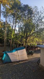 ein Zelt auf dem Boden neben einigen Bäumen in der Unterkunft Crossroads Hostel 1957 in Wayanad