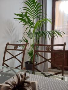 two plants in a room with a table and chairs at La Buhardilla de Mesones ,Vicent Suite in Granada