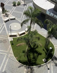 an aerial view of a courtyard with palm trees and benches at Tomà Suites - Il Nido d’Amore in Rome