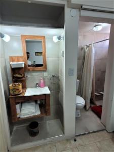 y baño con lavabo, aseo y espejo. en Departamento Mendoza Capital en Mendoza