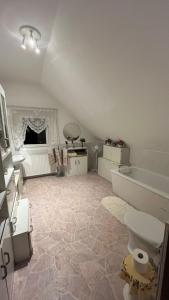 a bathroom with a sink and a toilet in a room at Haus Luise Monteure in Delmenhorst