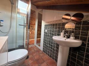 A bathroom at San Vicente Ferrer, dúplex para dos en Malasaña