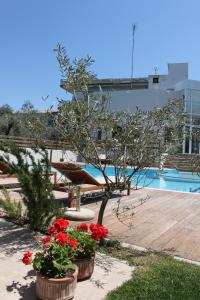 a garden filled with flowers next to a pool of water at Alkistis Hotel in Diakopto