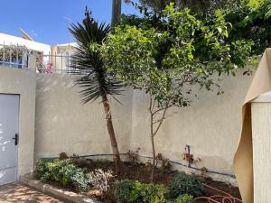een hek met een palmboom naast een muur bij Villa Charaf in Agadir