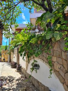 Imagen de la galería de Casa de Dan, en Pipa