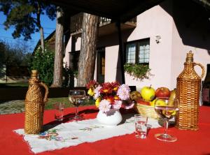 - une table avec des fruits et des verres à vin sur un tissu de table rouge dans l'établissement Galamb Villa, à Siófok