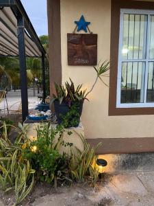 Zahrada ubytování Casa Ibiza Celestun