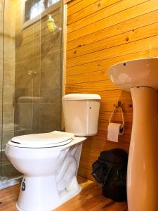 y baño con aseo y lavamanos. en Vital Ecohotel Cabañas en Guarne