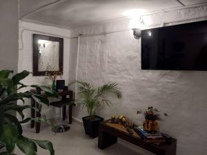 麥德林的住宿－Pioneros Poblado casa tradición，一间种植了植物的客厅和墙上的电视