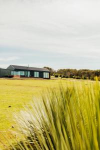 dom w środku pola z wysoką trawą w obiekcie StowAway Kangaroo Island w mieście Stokes Bay