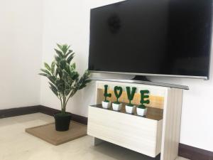 d'une télévision avec des plantes. dans l'établissement Studio Unit with Seaview & Wifi, à Malacca