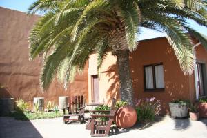 a palm tree in front of a house with benches at Dunedin Star Guesthouse in Swakopmund
