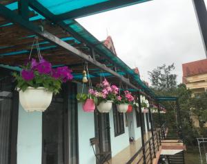 Eine Reihe von Blumentöpfen hängt von einem Gebäude in der Unterkunft Sunshine Homestay in Phong Nha