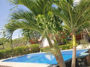 two palm trees next to a swimming pool at The Hip Resort @ Phi Phi in Phi Phi Don