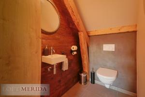 bagno con servizi igienici e lavandino di Loft Merida - Designer Apartment with Large Bathtub a Butgenbach